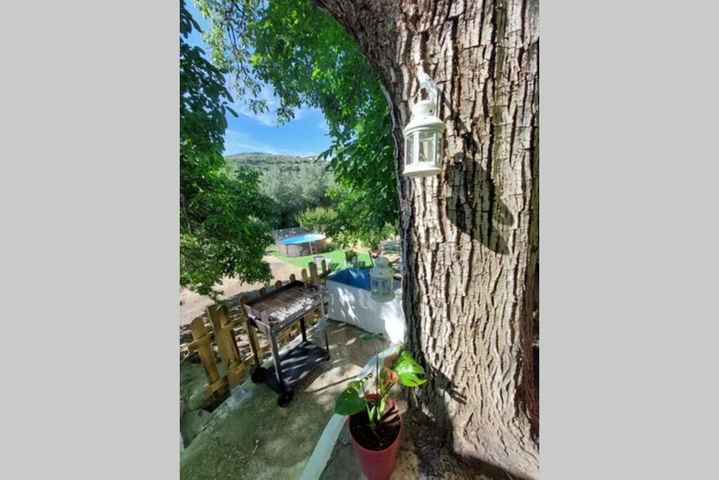 La Huerta Del Castillo Con Su Caz De Agua - Enjoy Life & Relax Castillo de Locubín Exterior foto